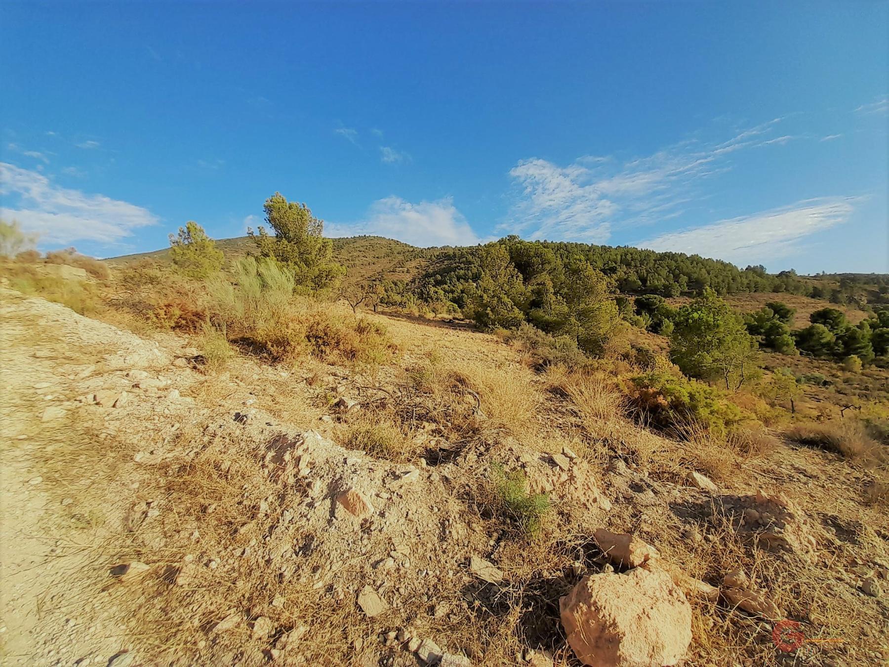 Vente de terrain dans Vélez de Benaudalla
