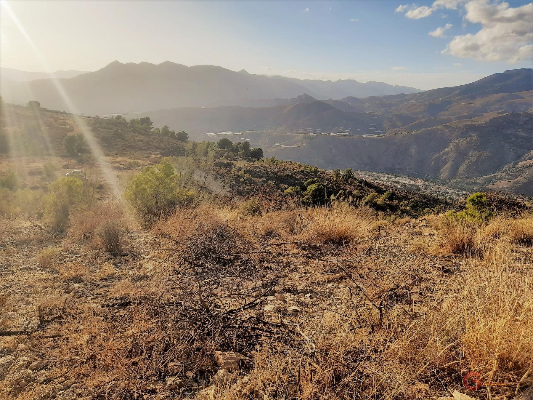Vente de terrain dans Vélez de Benaudalla