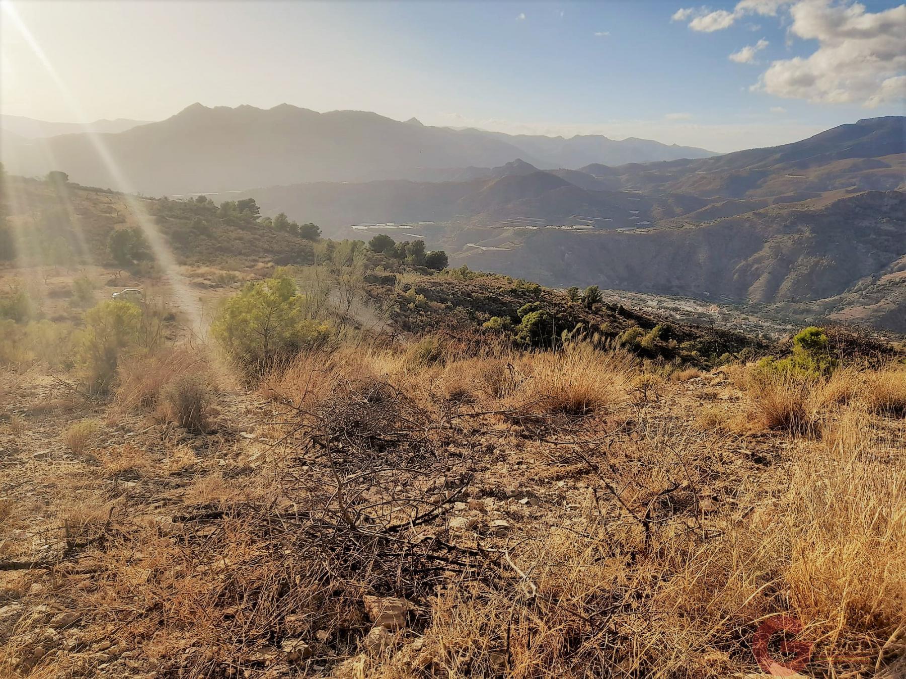 Venta de terreno en Vélez de Benaudalla Venta de terreno en Vélez de Benaudalla