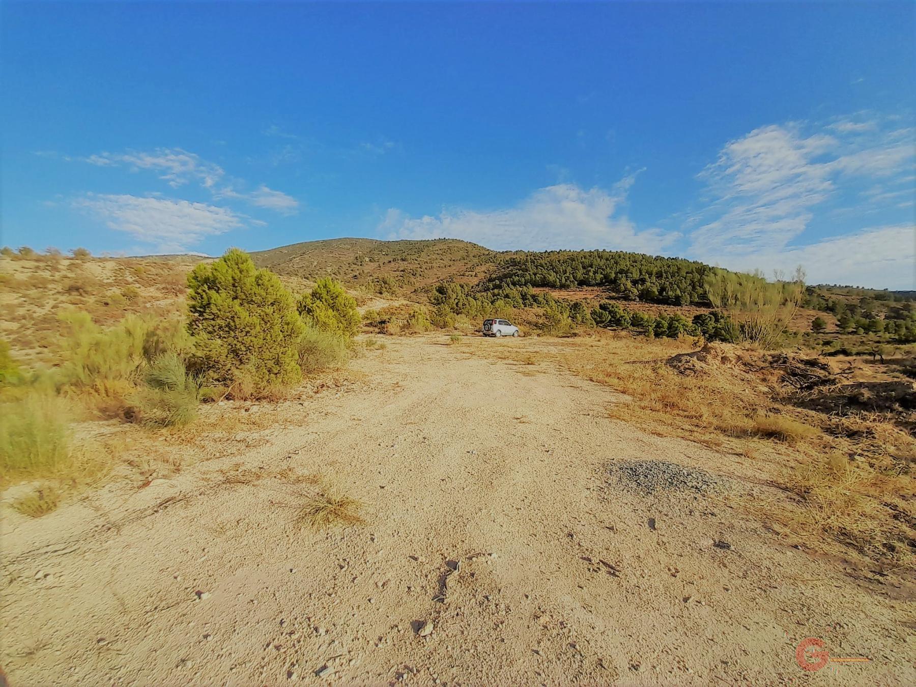 Vente de terrain dans Vélez de Benaudalla