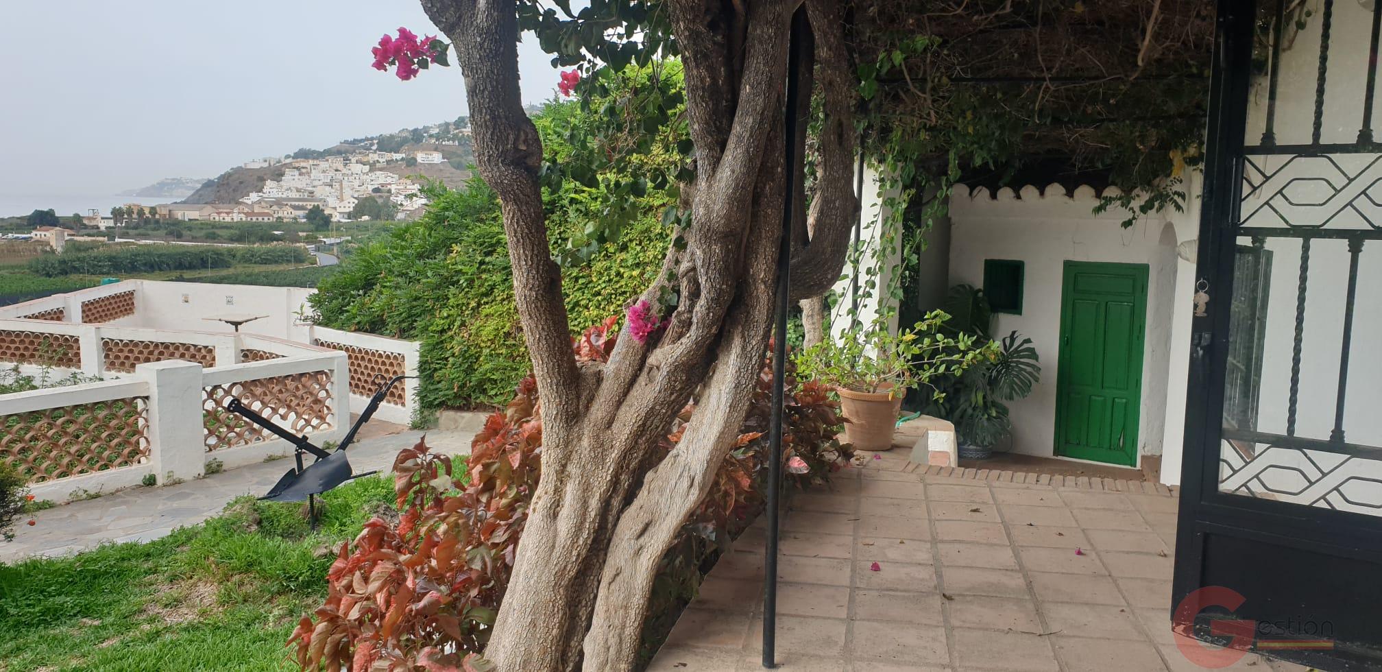 Venta de casa en Salobreña Venta de casa en Salobreña