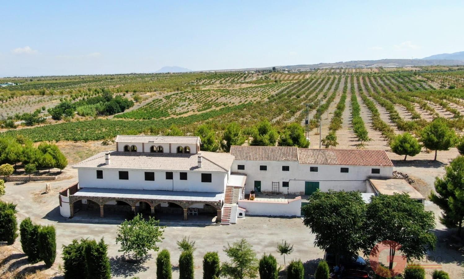 Venta de finca rústica en Gor Venta de finca rústica en Gor