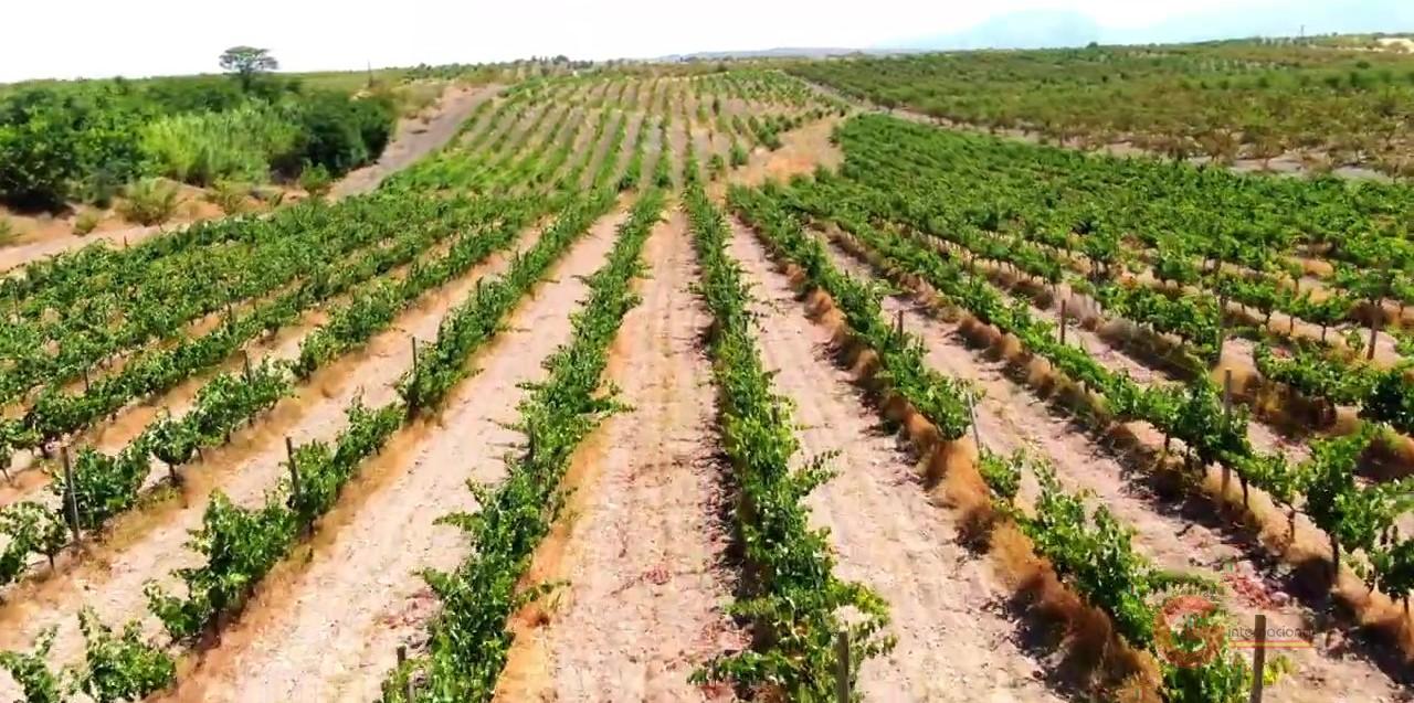 Venta de finca rústica en Gor Venta de finca rústica en Gor