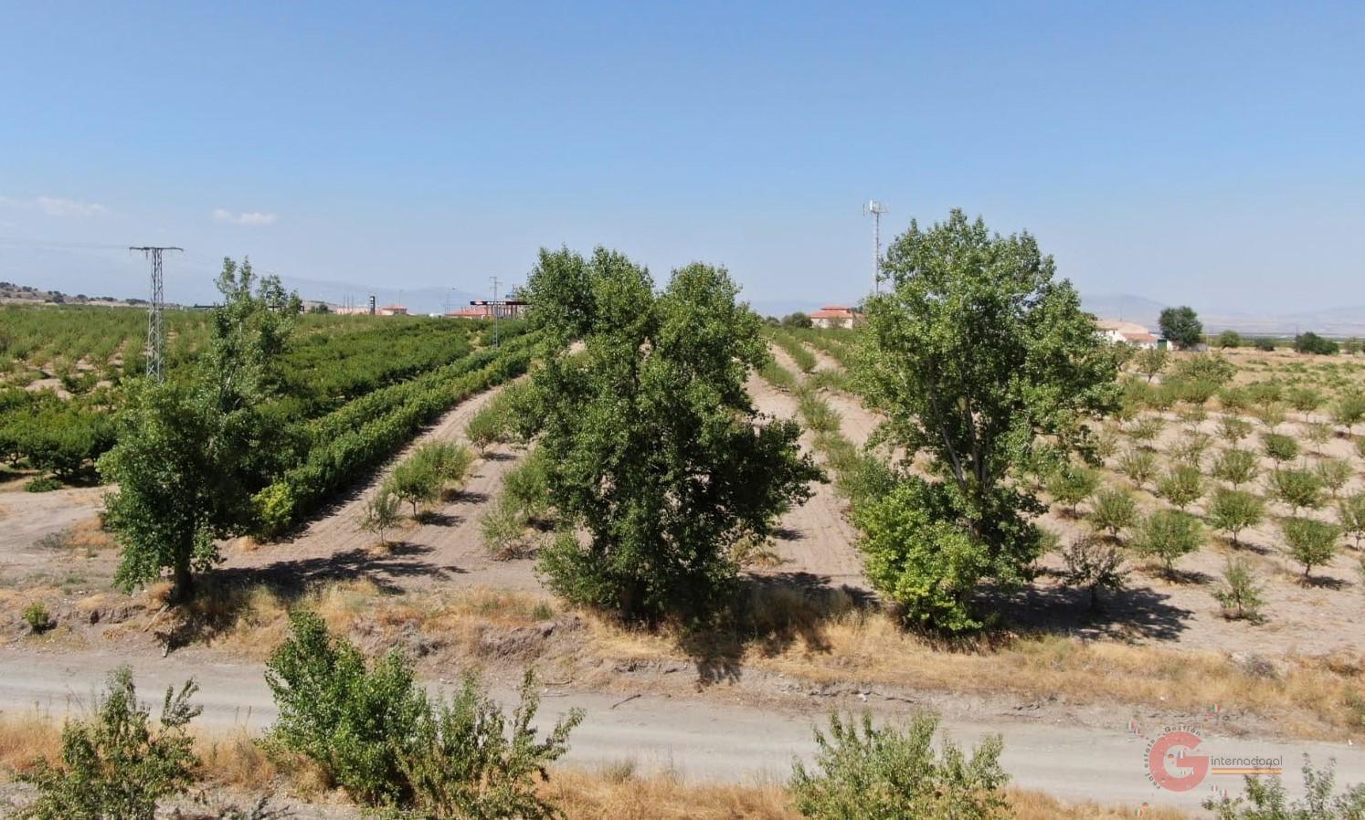 For sale of rural property in Gor