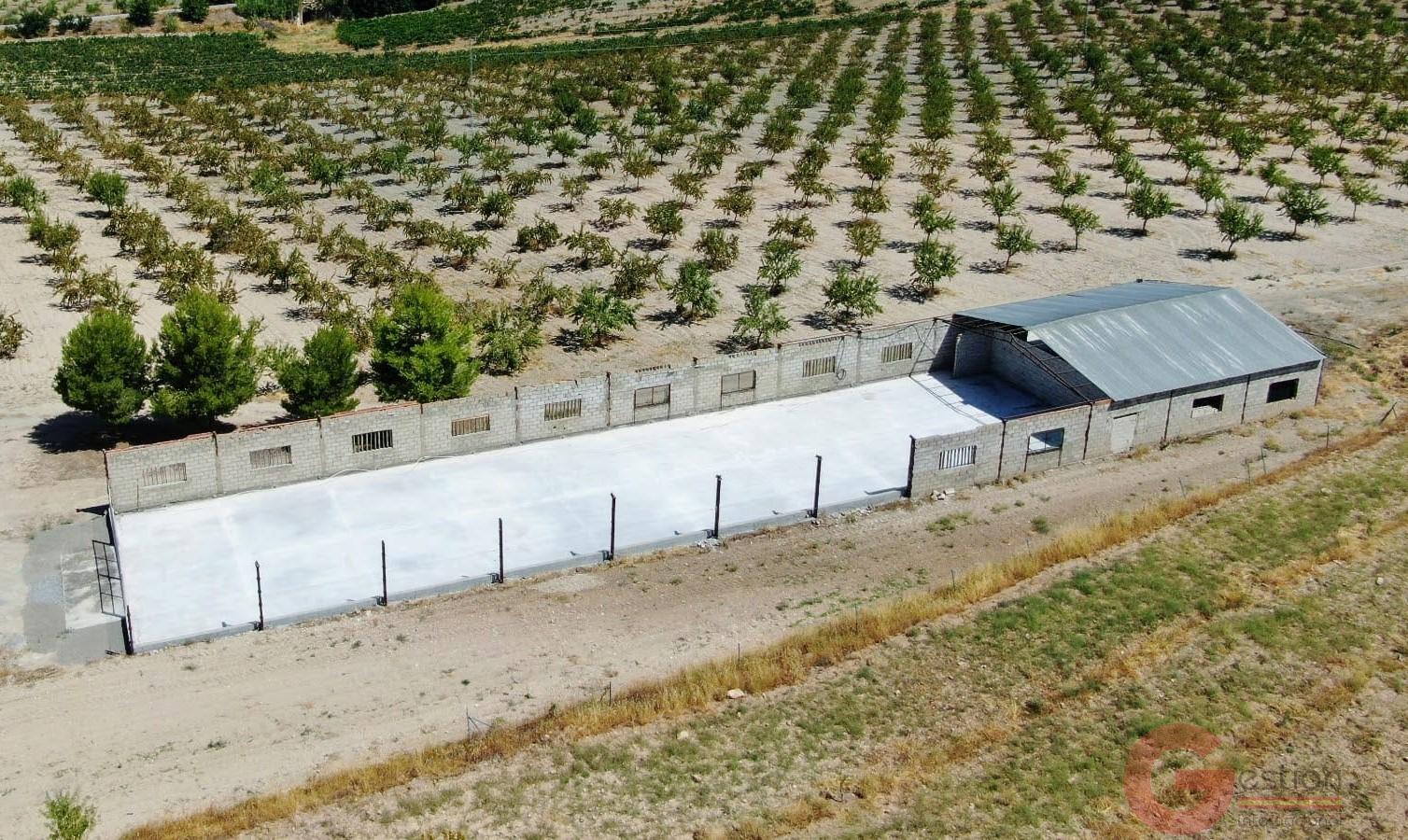 Venta de finca rústica en Gor Venta de finca rústica en Gor