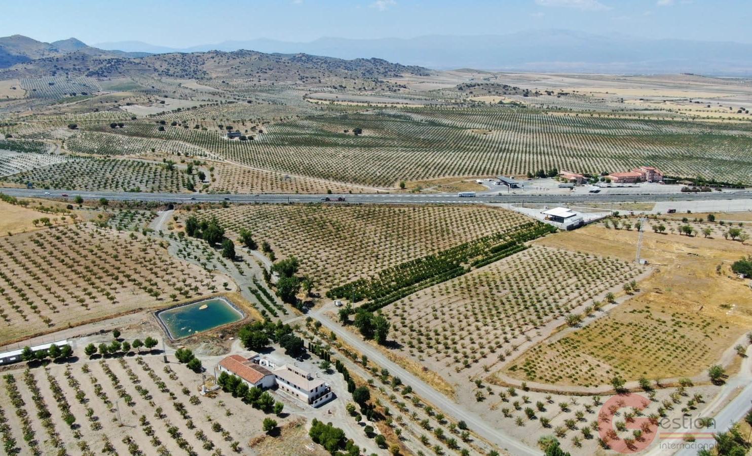 Venta de finca rústica en Gor Venta de finca rústica en Gor