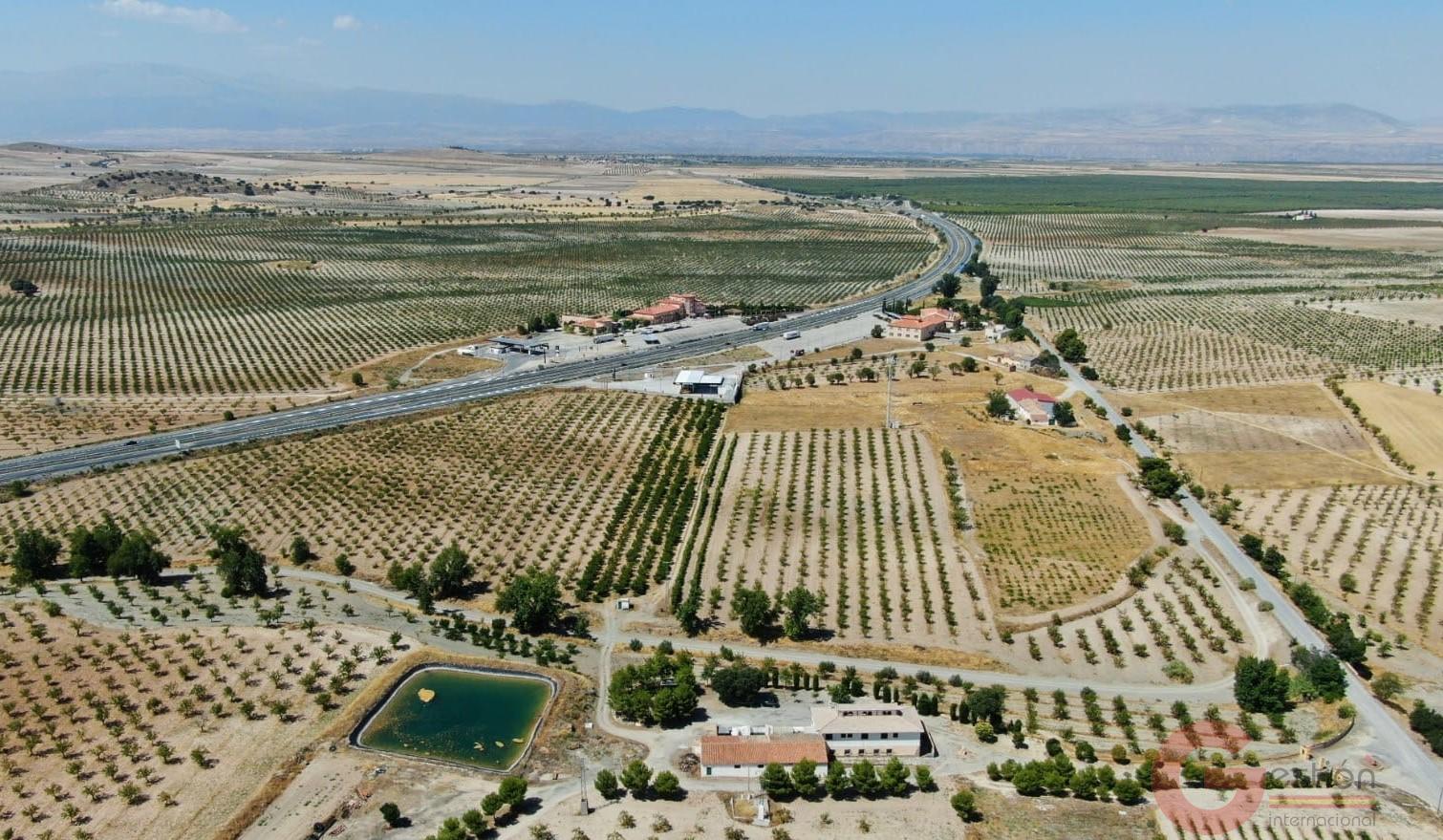 Venta de finca rústica en Gor Venta de finca rústica en Gor