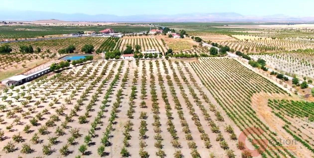 Venta de finca rústica en Gor Venta de finca rústica en Gor