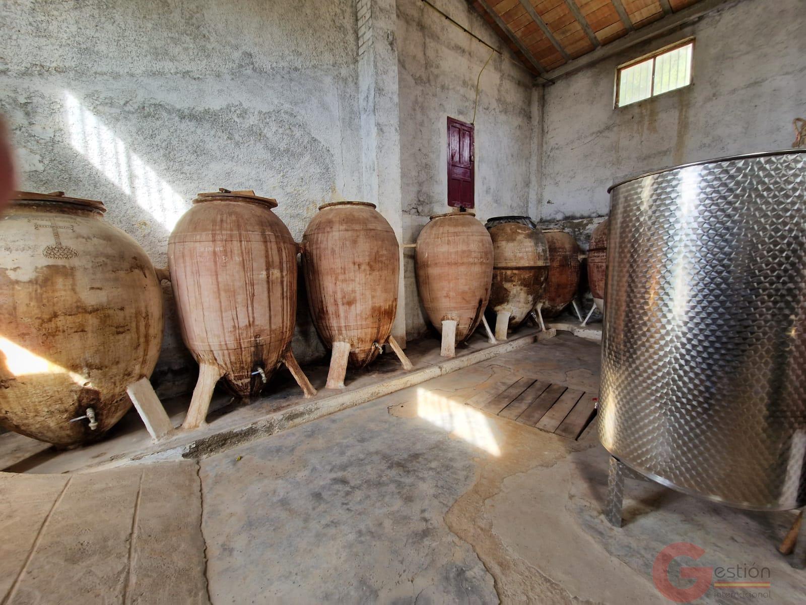 Venta de finca rústica en Gor Venta de finca rústica en Gor