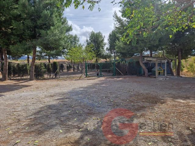 Venta de finca rústica en Gor Venta de finca rústica en Gor