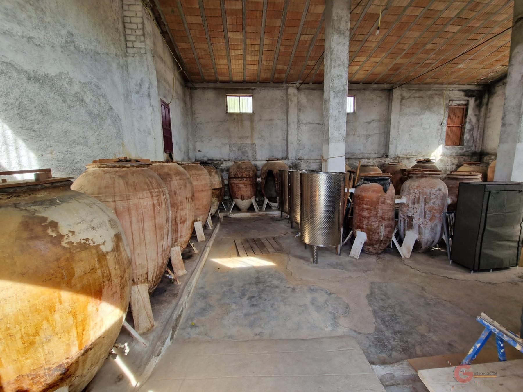 Venta de finca rústica en Gor Venta de finca rústica en Gor