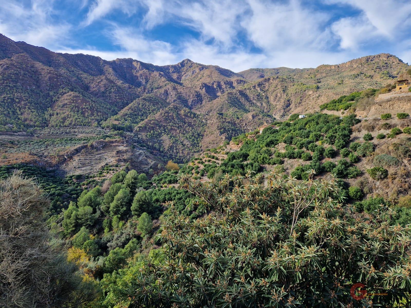 Venta de terreno en Guájar Fondón