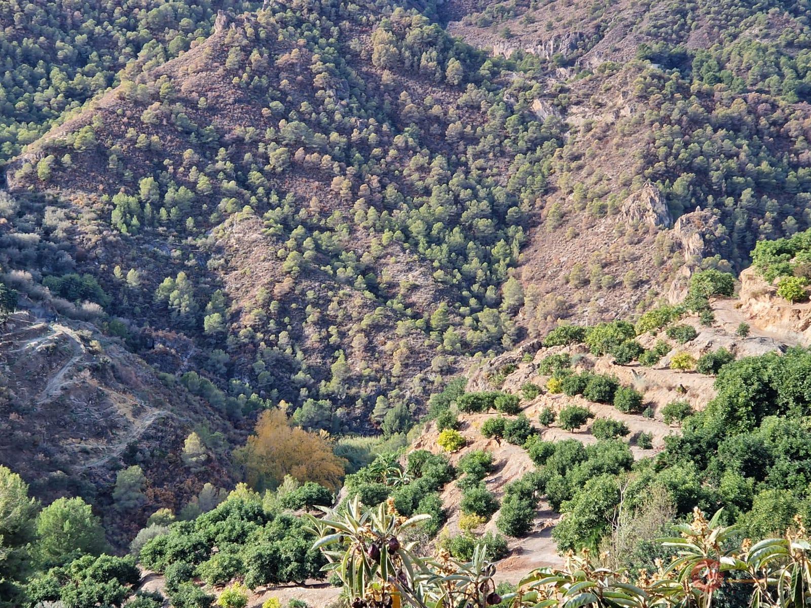 Vente de terrain dans Guájar Fondón