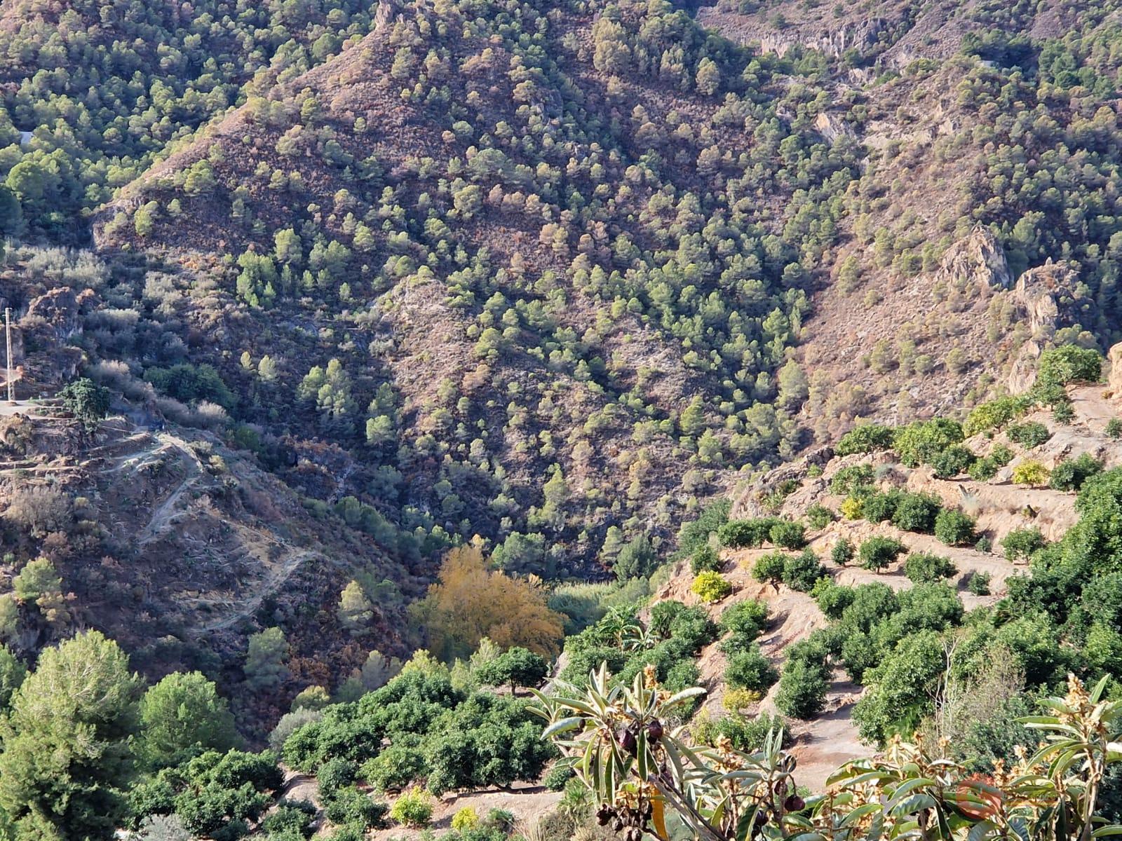 Venta de terreno en Guájar Fondón