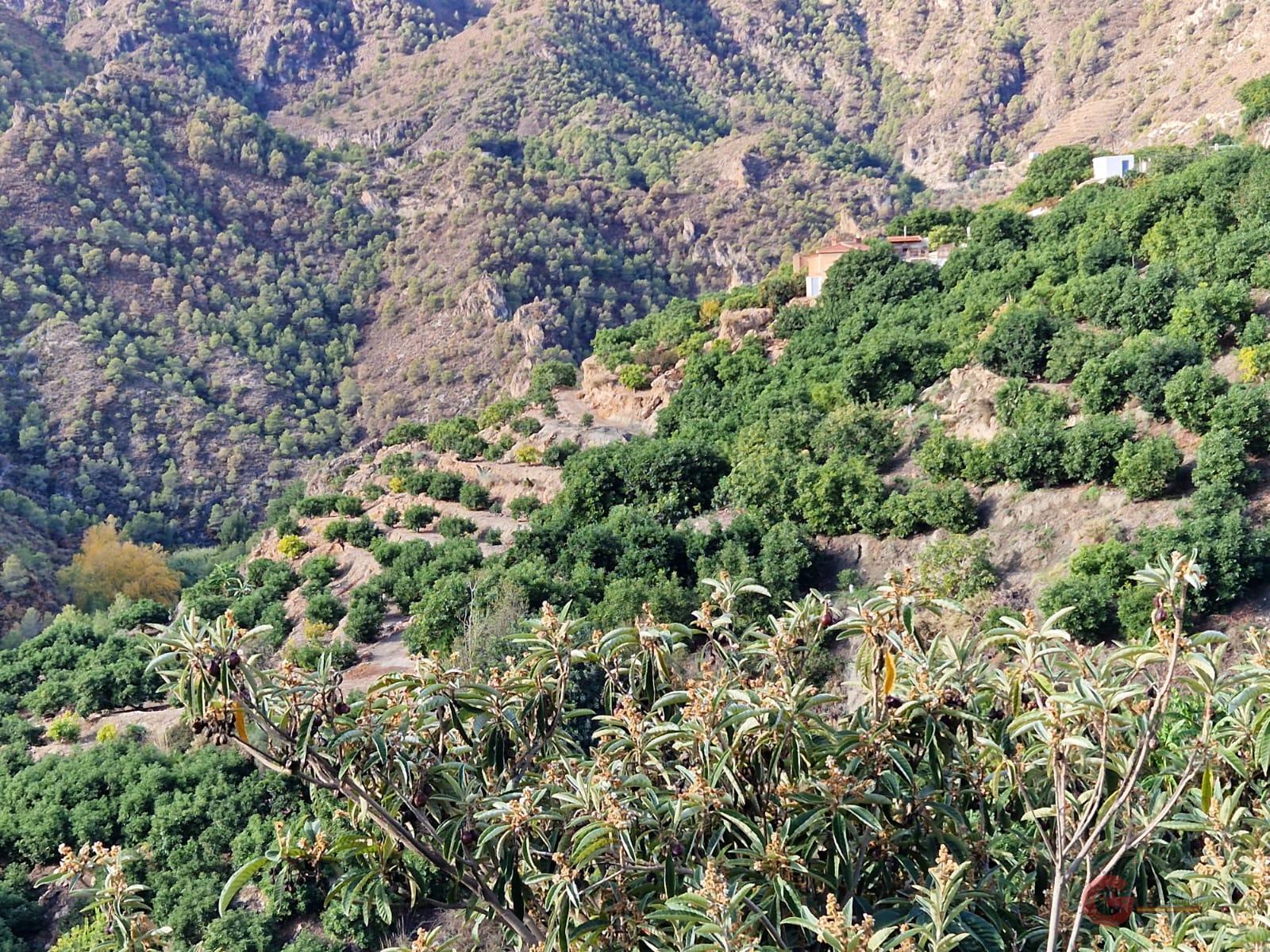 Venta de terreno en Guájar Fondón