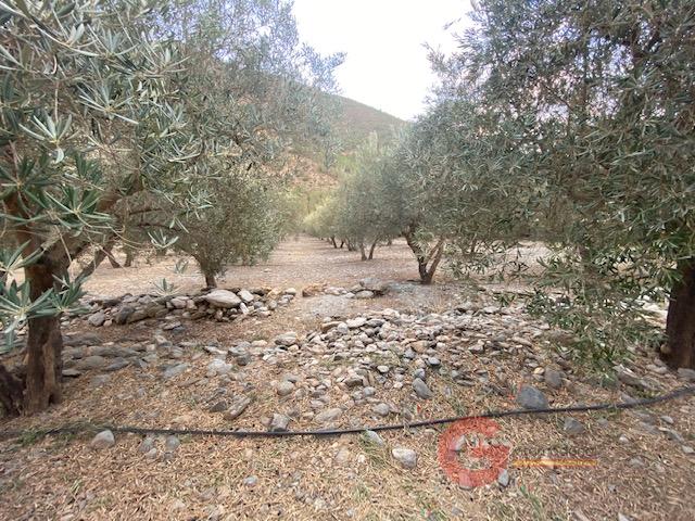 For sale of rural property in Órgiva
