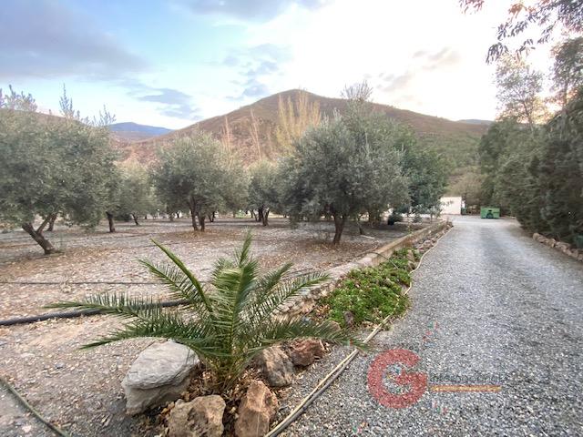 For sale of rural property in Órgiva