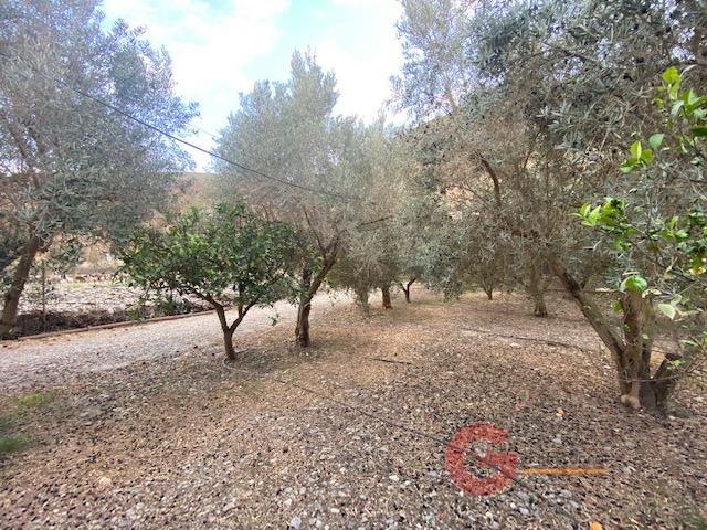 For sale of rural property in Órgiva