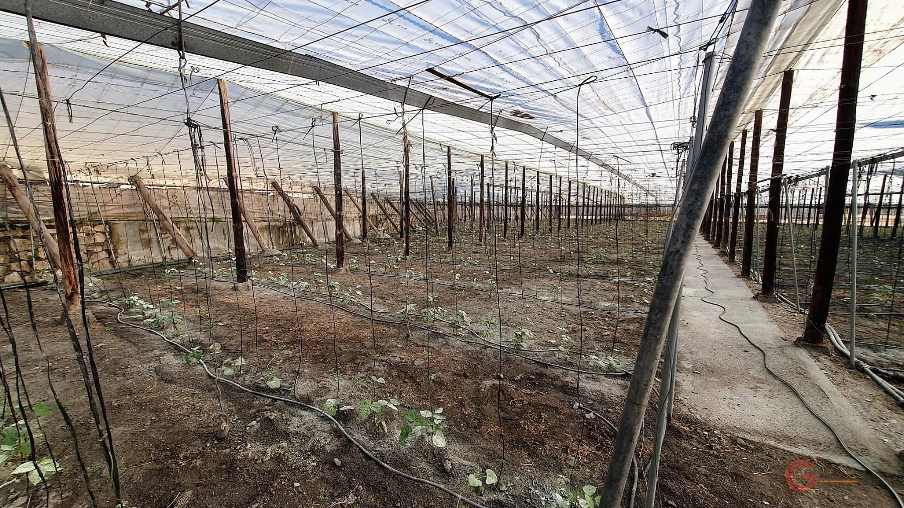 Vendita di terreno in Motril