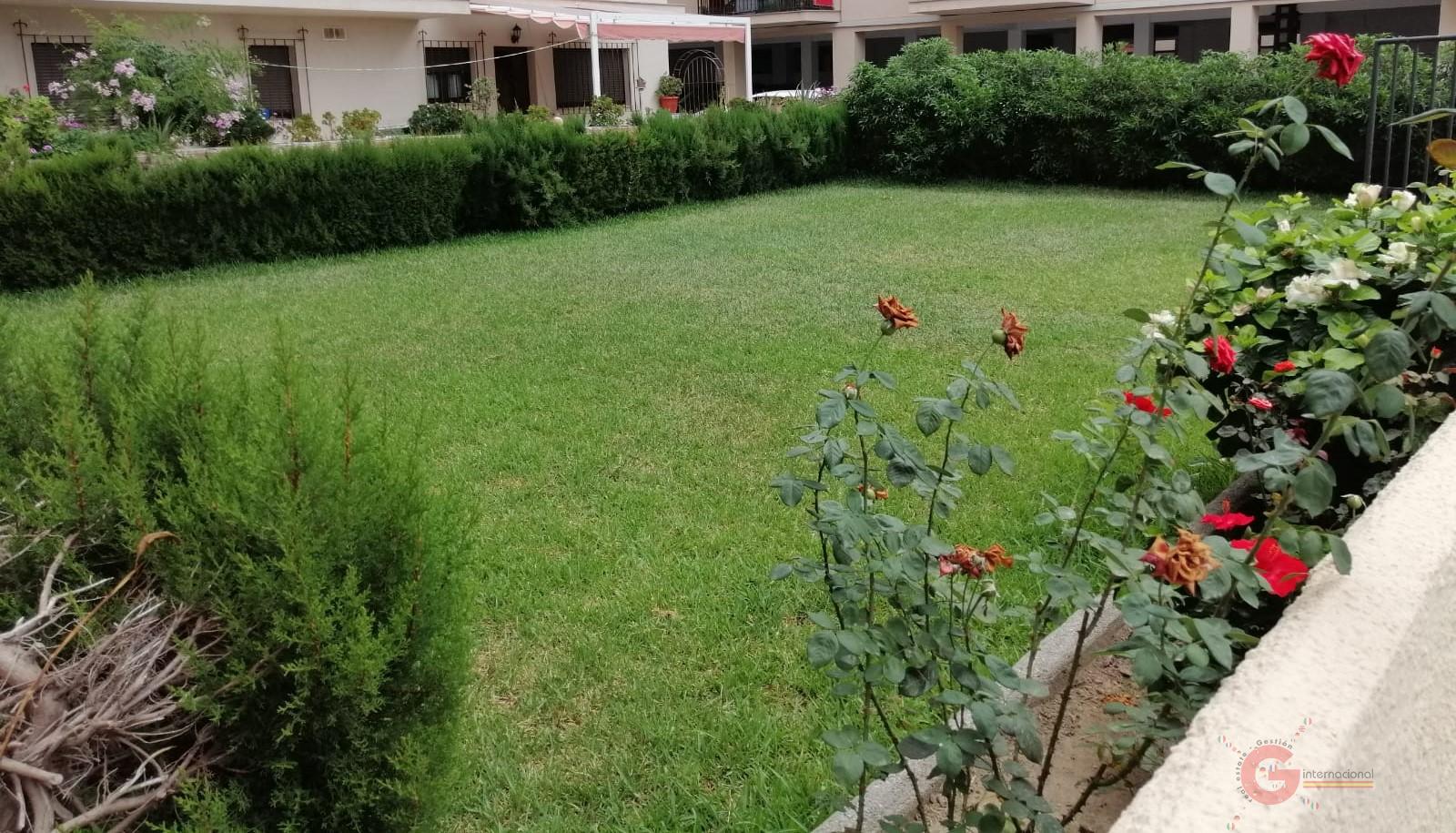 For sale of commercial in Almuñécar