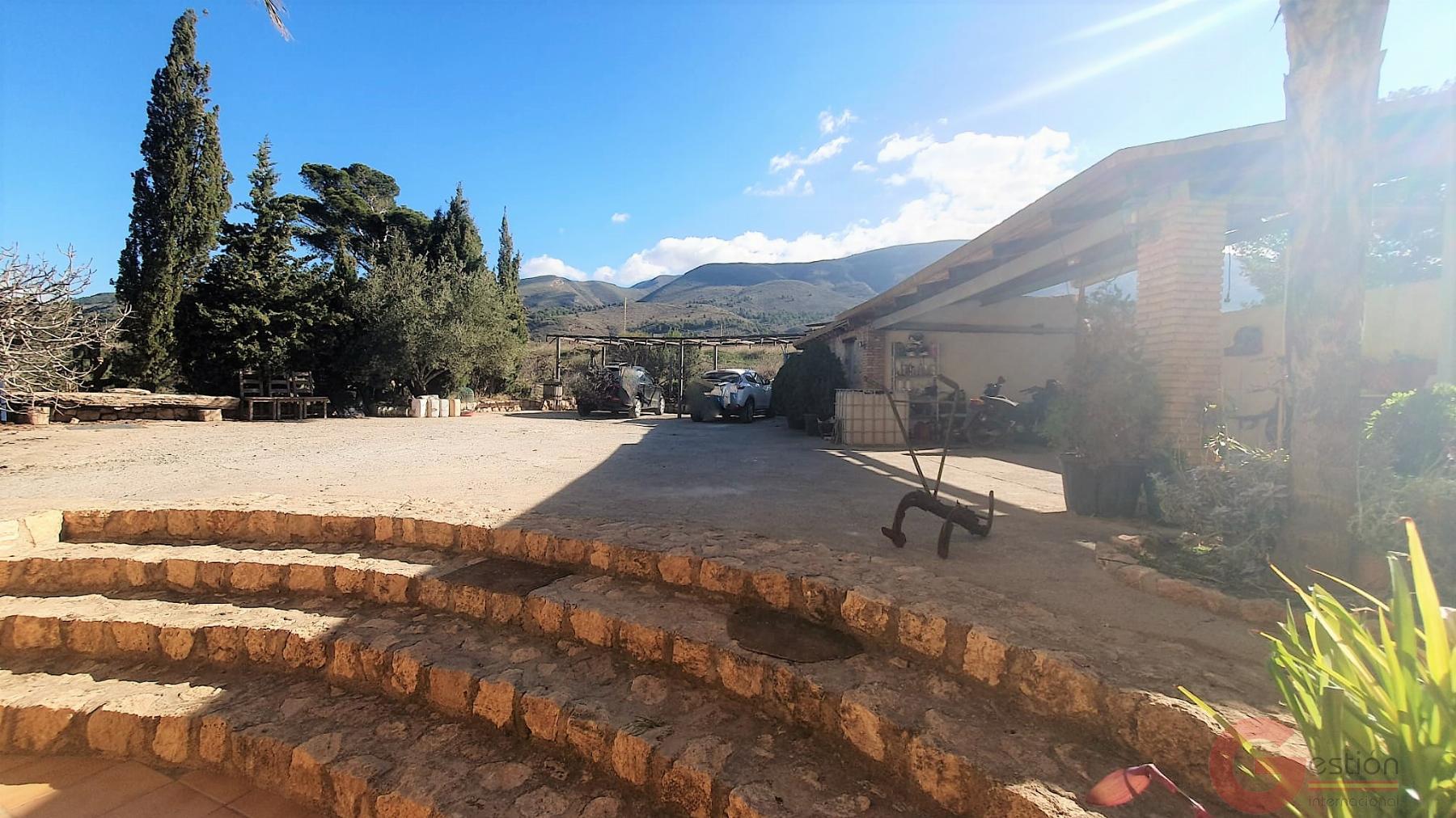 Venta de finca rústica en Vélez de Benaudalla Venta de finca rústica en Vélez de Benaudalla