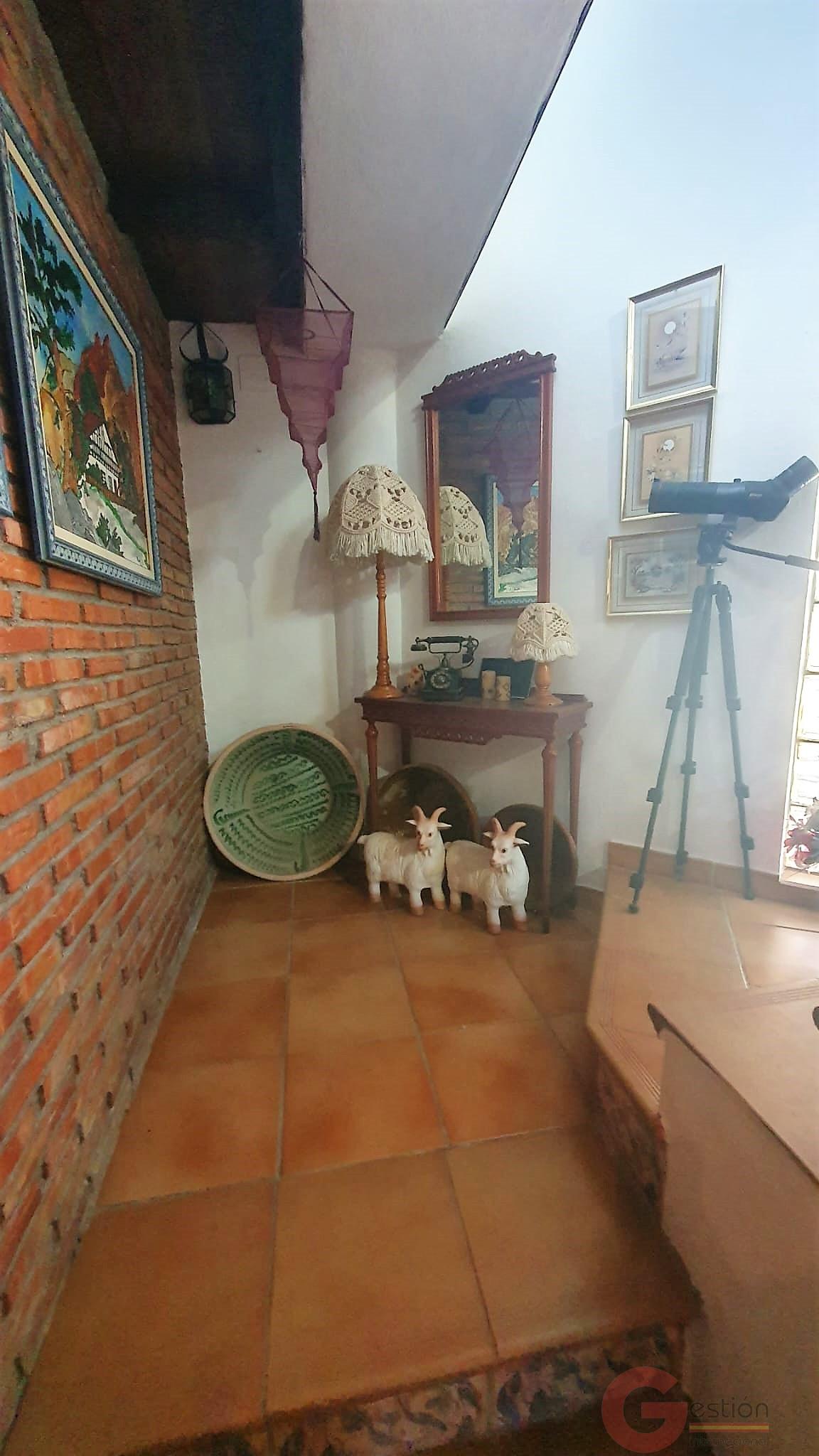 Venta de finca rústica en Vélez de Benaudalla Venta de finca rústica en Vélez de Benaudalla