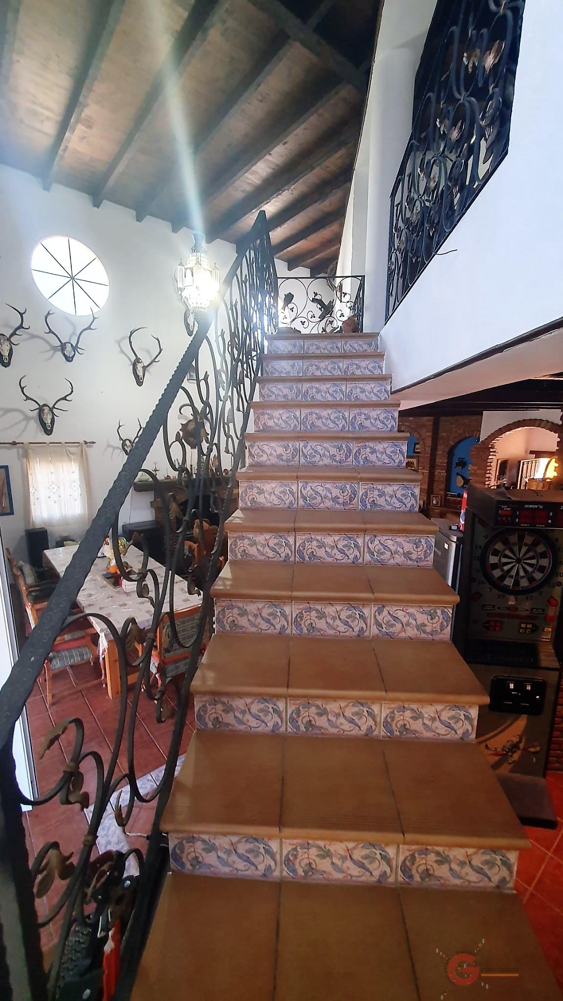 For sale of rural property in Vélez de Benaudalla