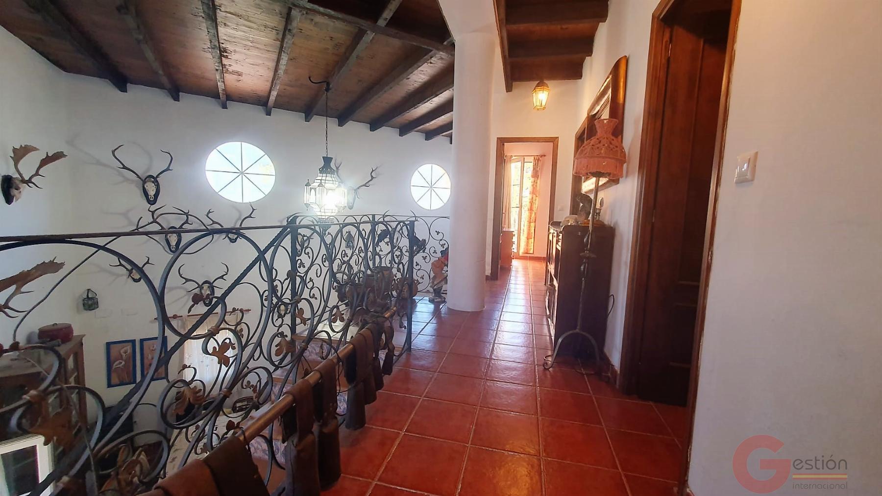 Venta de finca rústica en Vélez de Benaudalla Venta de finca rústica en Vélez de Benaudalla