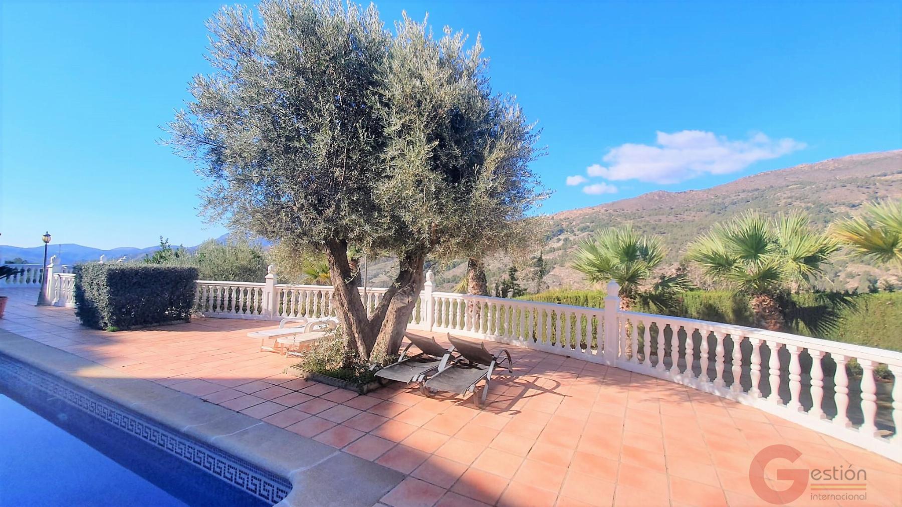 Venta de finca rústica en Vélez de Benaudalla Venta de finca rústica en Vélez de Benaudalla