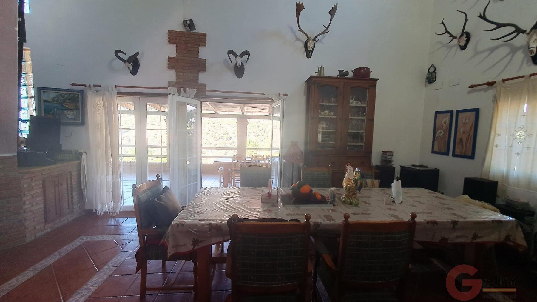 Venta de finca rústica en Vélez de Benaudalla Venta de finca rústica en Vélez de Benaudalla