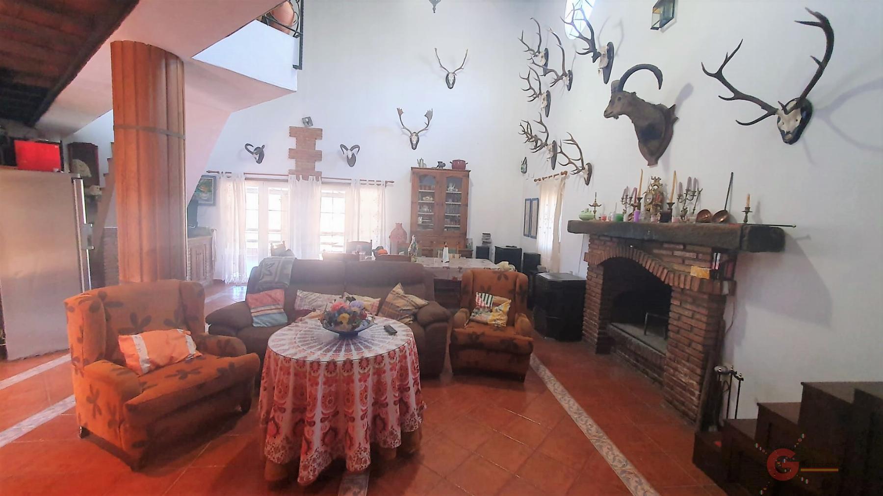 Venta de finca rústica en Vélez de Benaudalla Venta de finca rústica en Vélez de Benaudalla