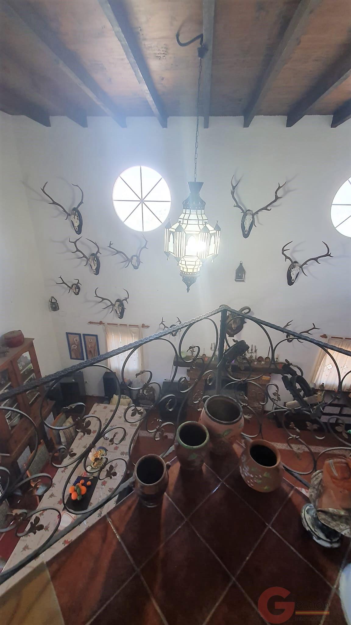 Venta de finca rústica en Vélez de Benaudalla Venta de finca rústica en Vélez de Benaudalla