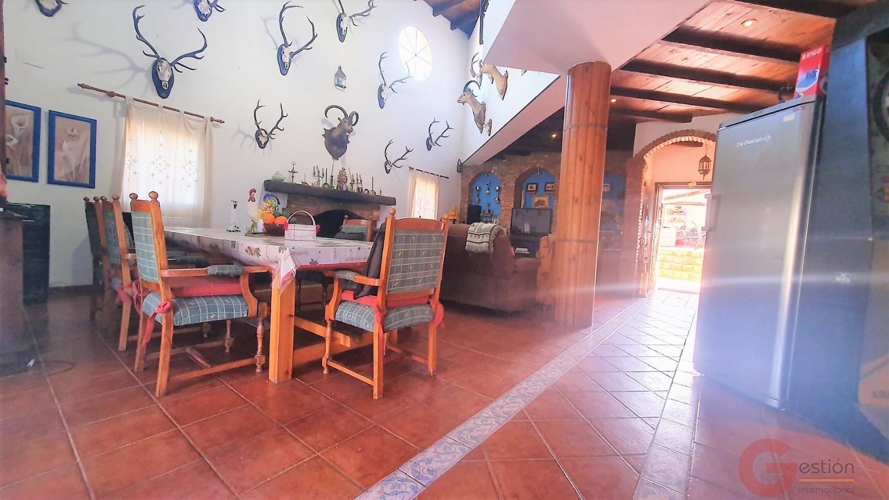 Venta de finca rústica en Vélez de Benaudalla Venta de finca rústica en Vélez de Benaudalla