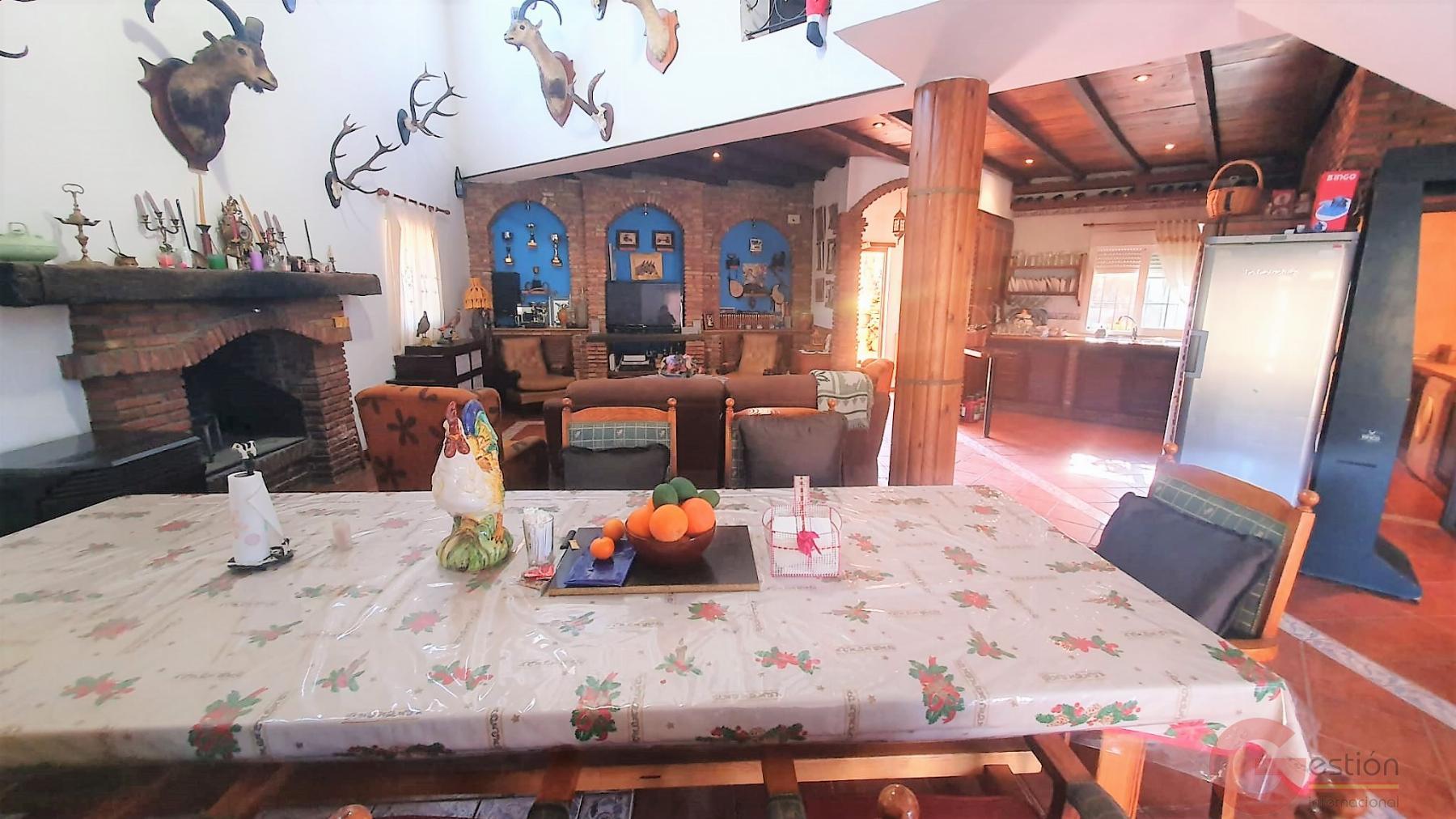 Venta de finca rústica en Vélez de Benaudalla Venta de finca rústica en Vélez de Benaudalla