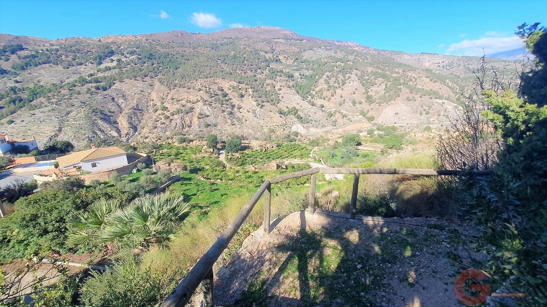 Venta de finca rústica en Vélez de Benaudalla Venta de finca rústica en Vélez de Benaudalla