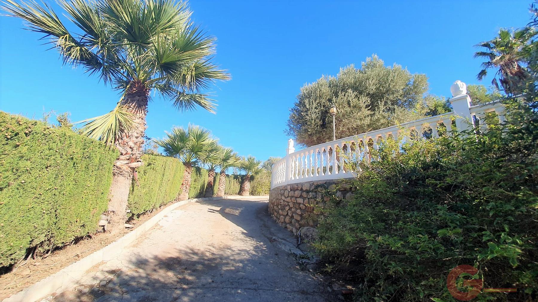 Venta de finca rústica en Vélez de Benaudalla Venta de finca rústica en Vélez de Benaudalla