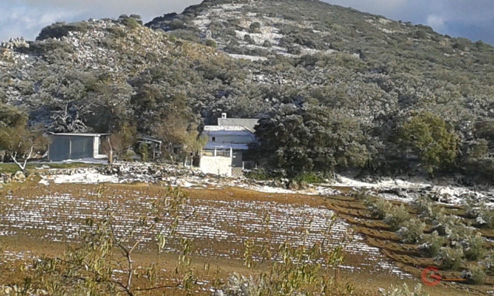 For sale of rural property in Illora