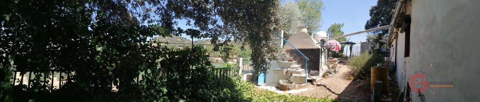 Venta de finca rústica en Illora