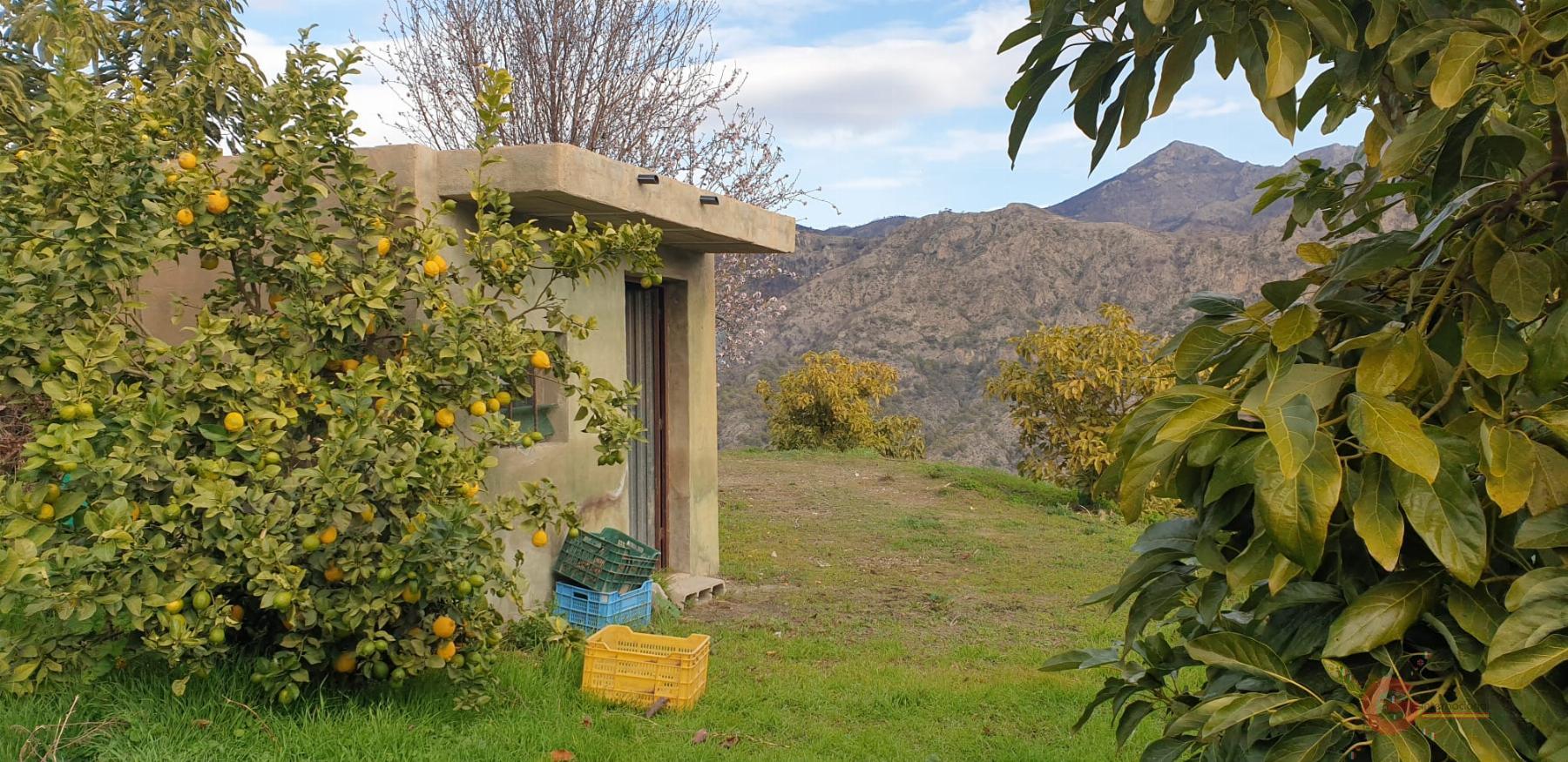 Vendita di terreno in Guájar Alto