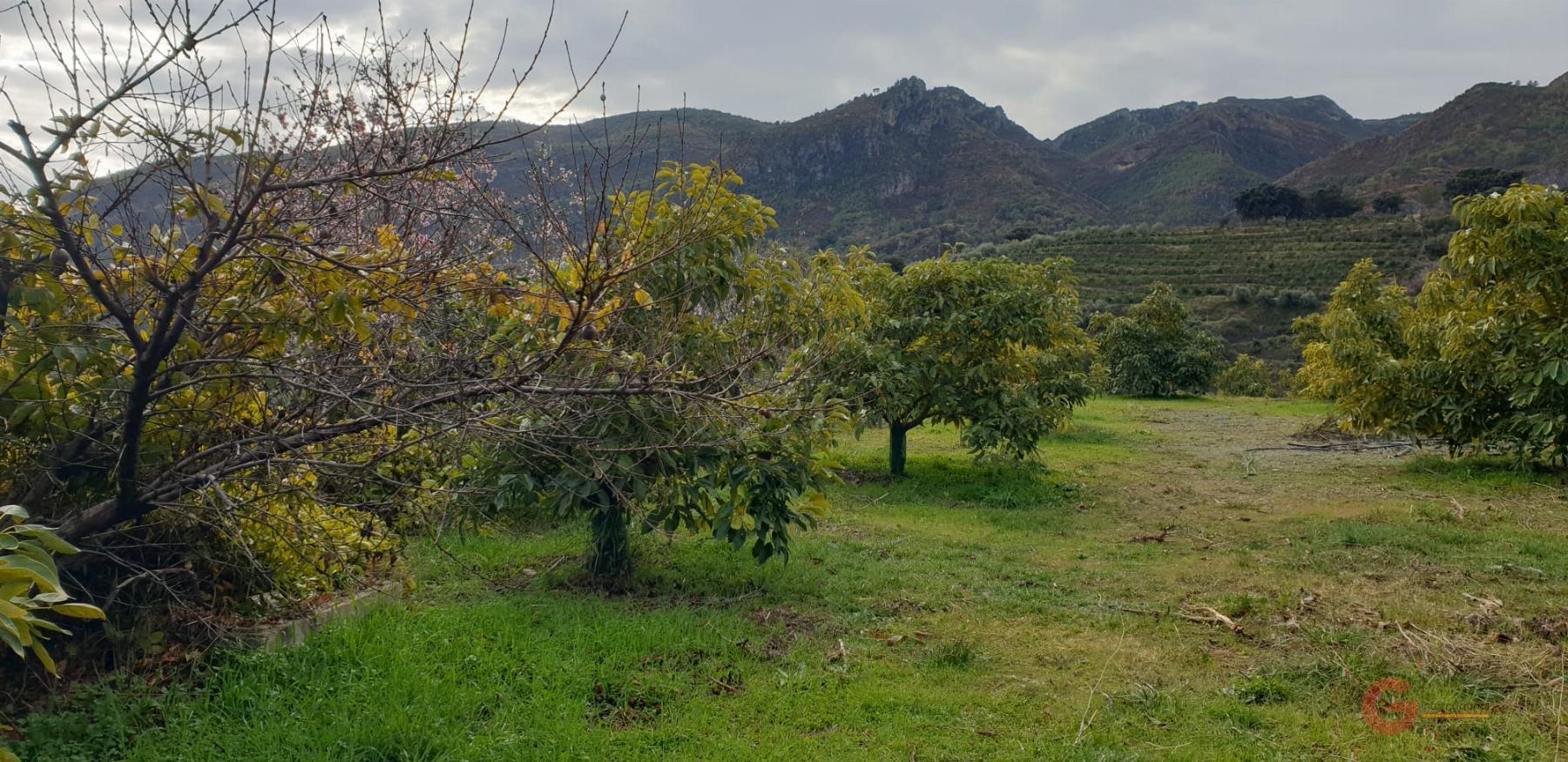 Vendita di terreno in Guájar Alto