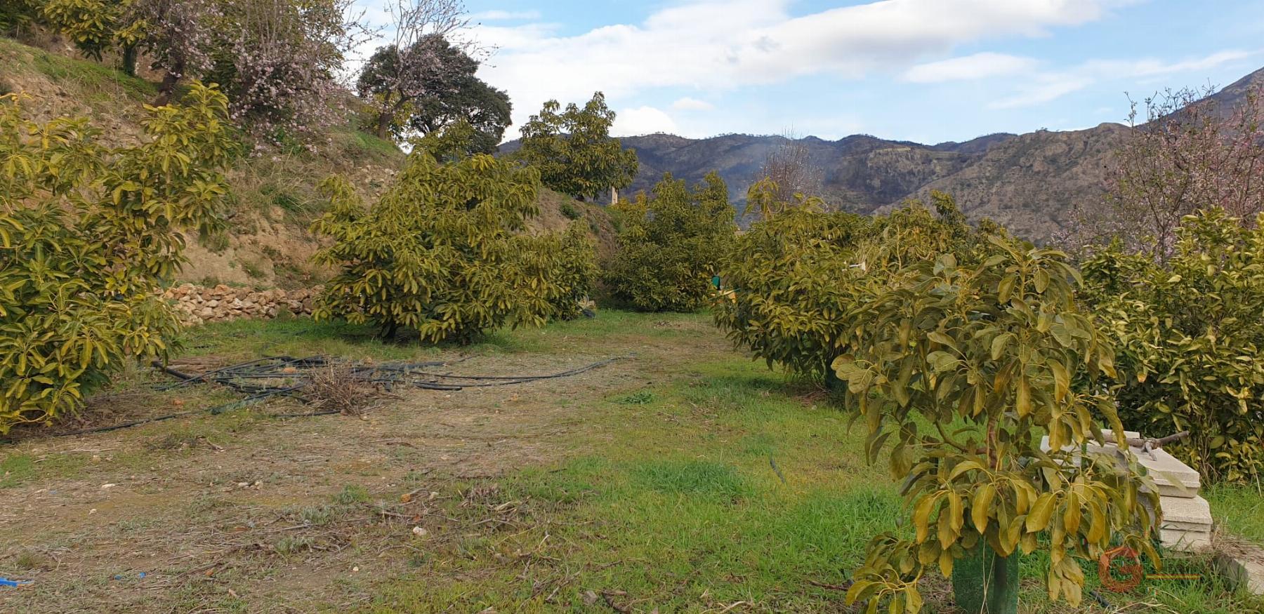 Vendita di terreno in Guájar Alto