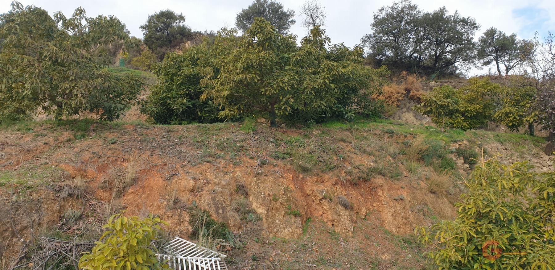 Vendita di terreno in Guájar Alto
