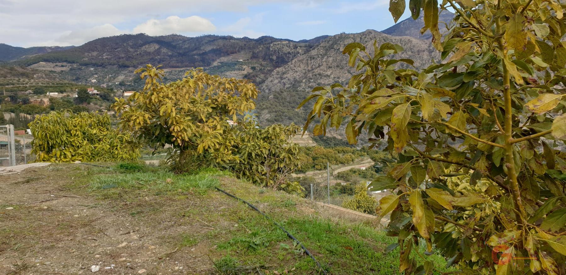 Vendita di terreno in Guájar Alto