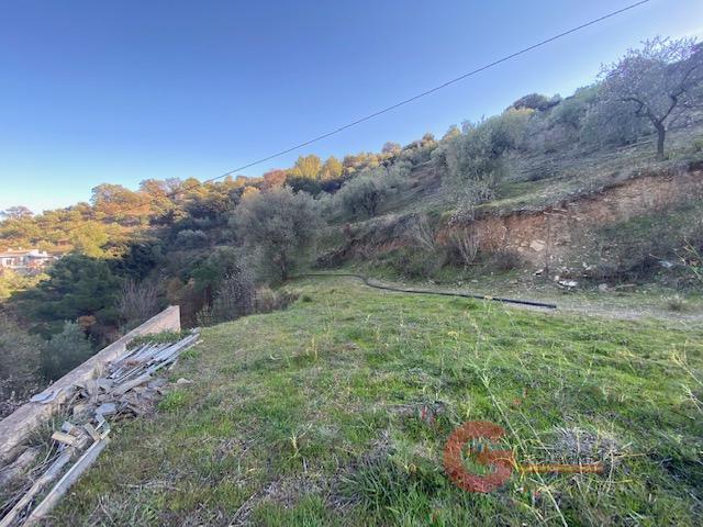 For sale of rural property in Almuñécar
