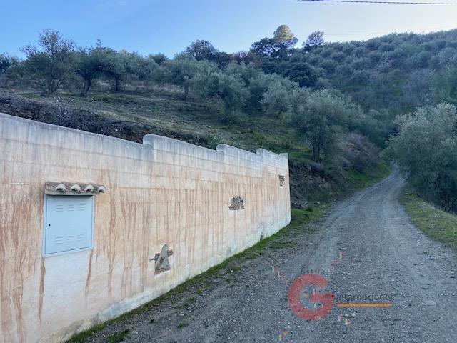 For sale of rural property in Almuñécar