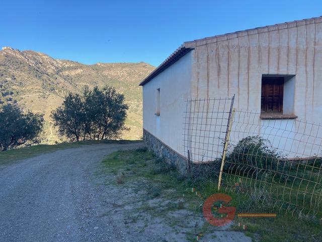 For sale of rural property in Almuñécar