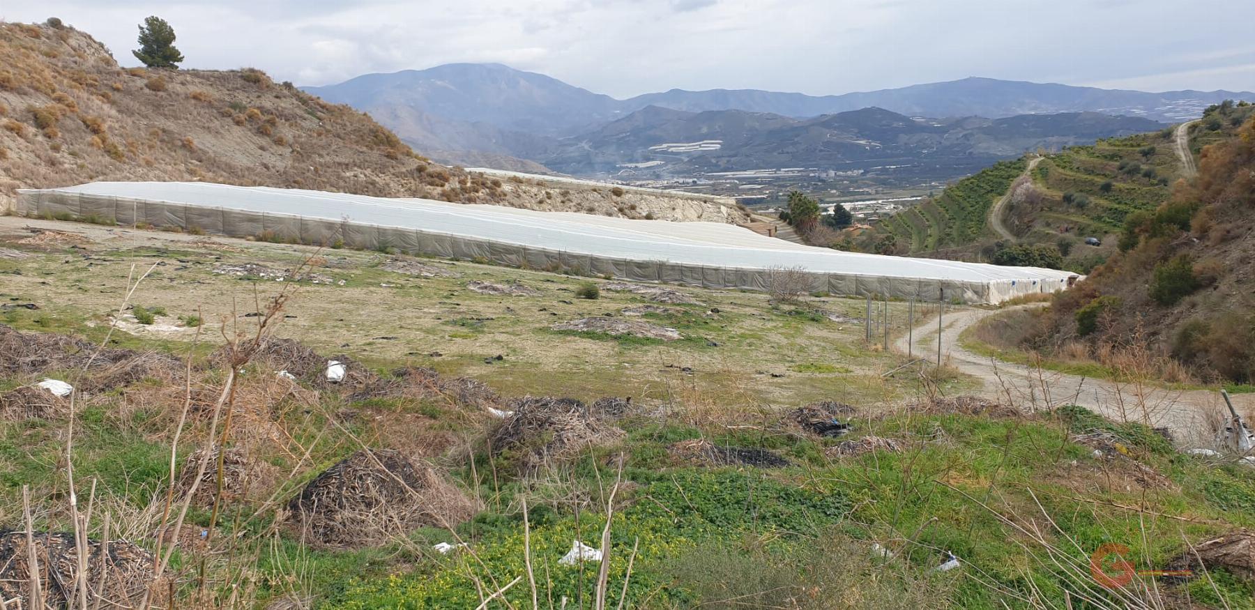 For sale of rural property in Salobreña
