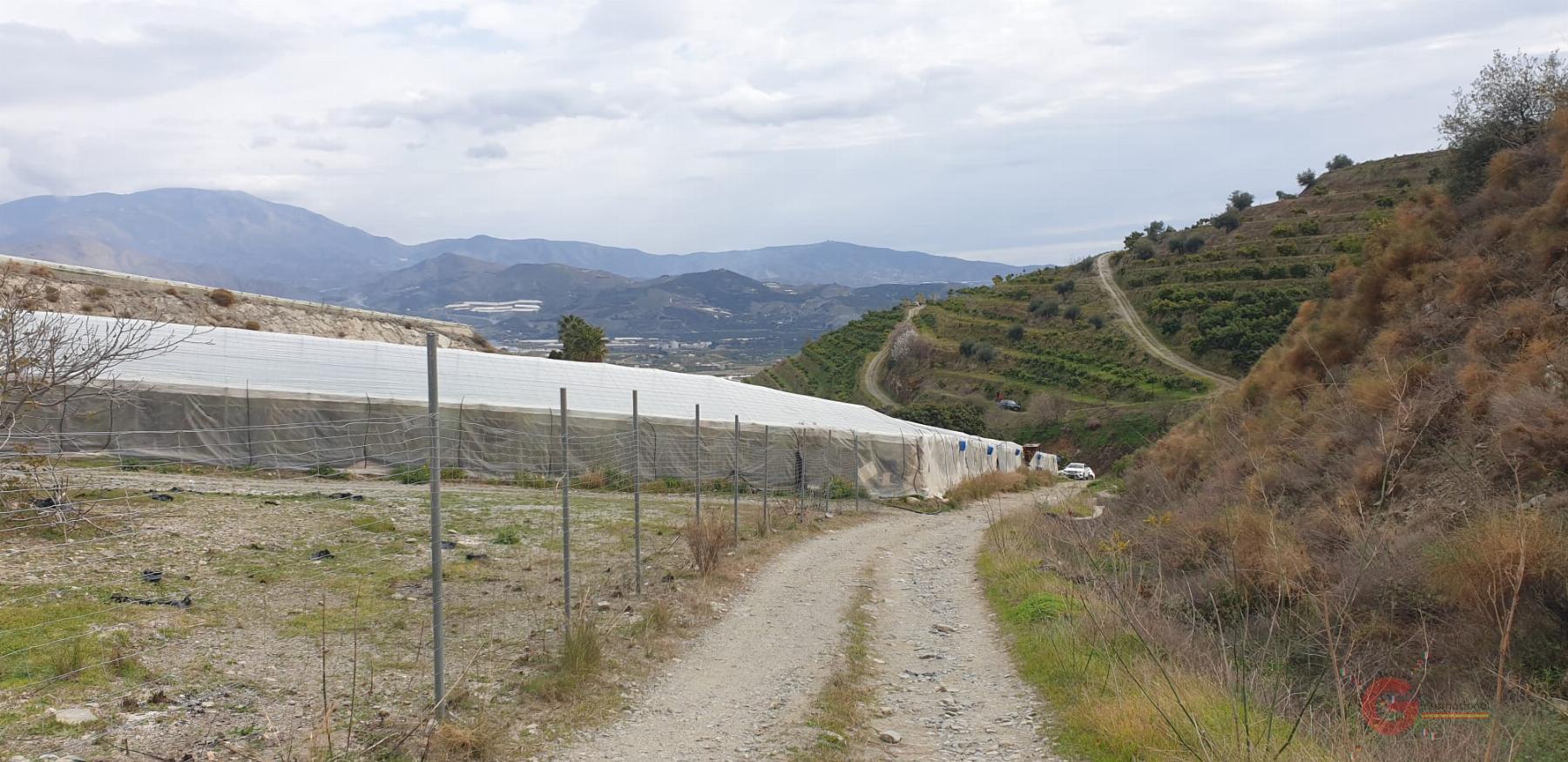 For sale of rural property in Salobreña