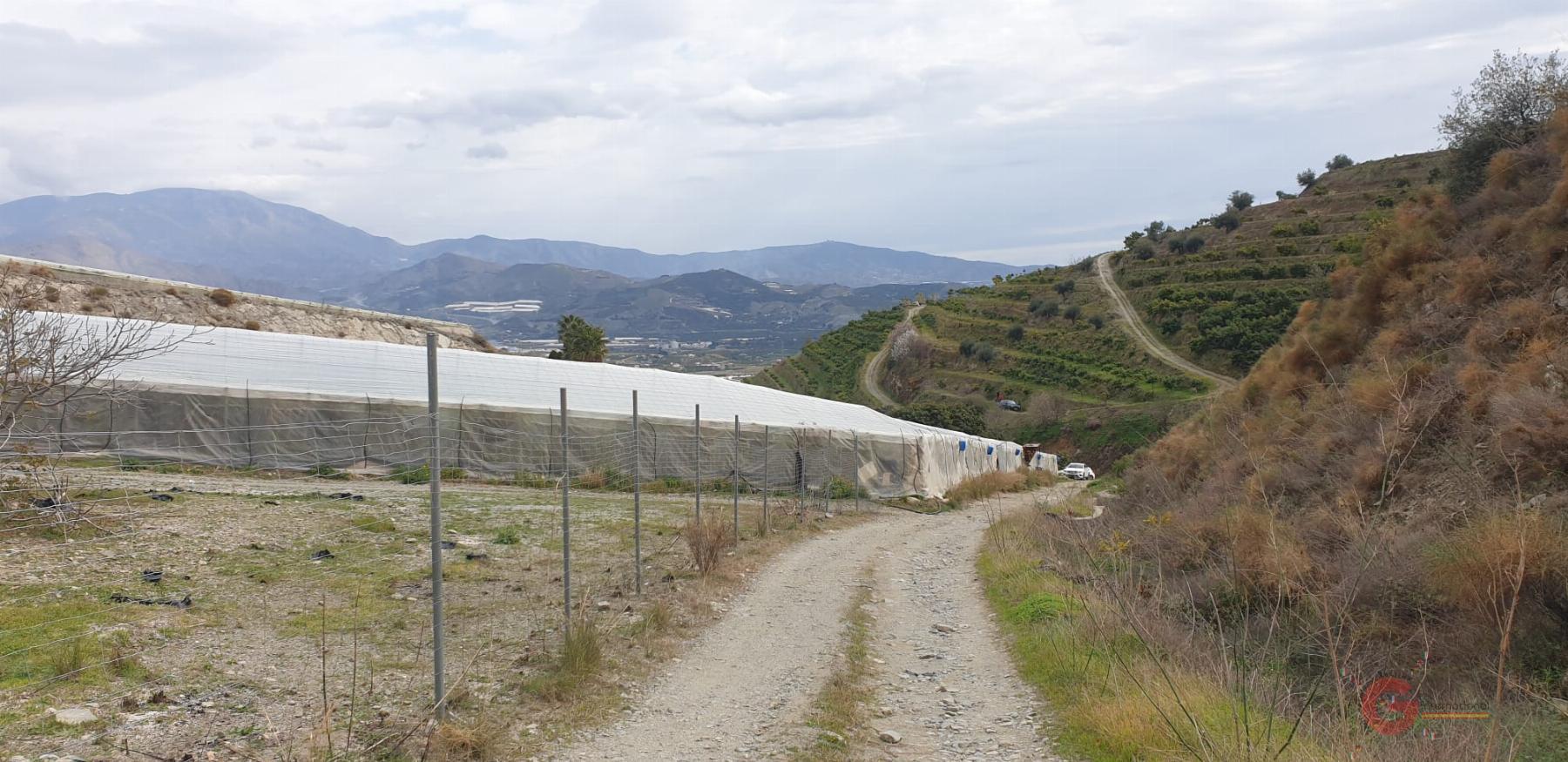 Venta de finca rústica en Salobreña