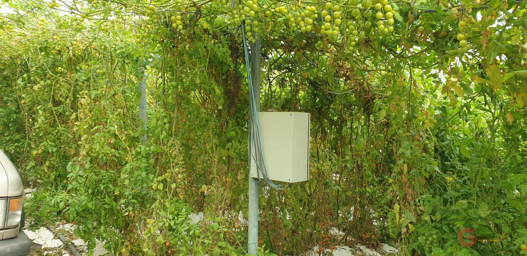 For sale of rural property in Salobreña